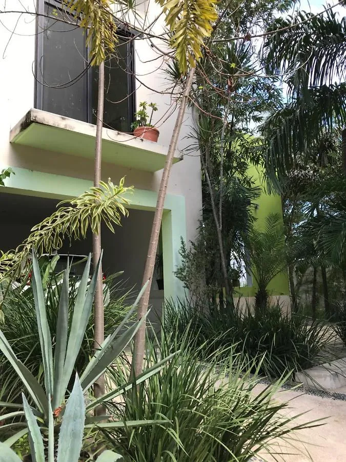 Villa mala escondida Playa del Carmen